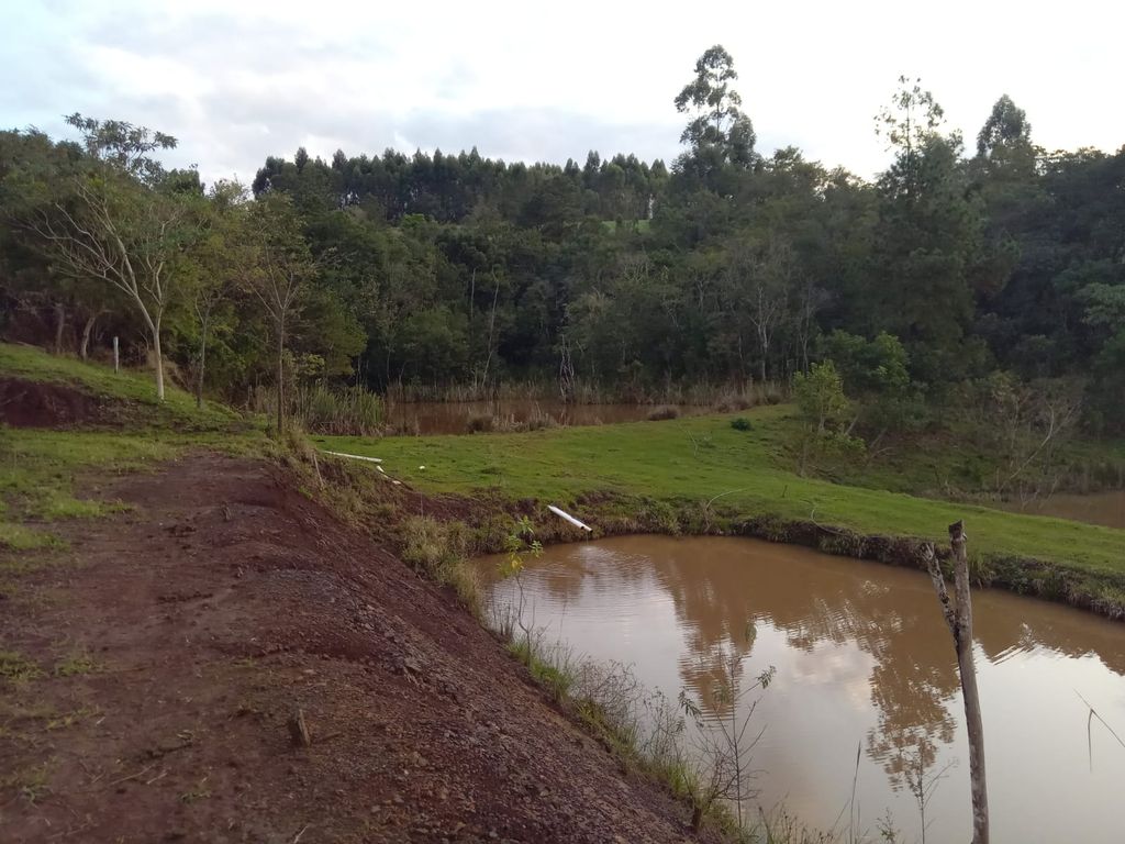 Vende-se Sítio na Zona Rural de Tamarana ? Oportunidade Única