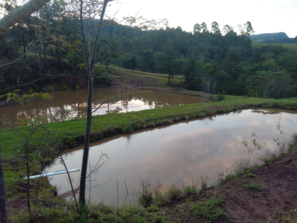 Vende-se Sítio na Zona Rural de Tamarana ? Oportunidade Única