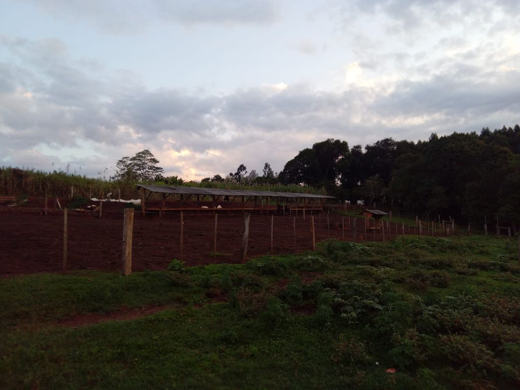 Vende-se Sítio na Zona Rural de Tamarana ? Oportunidade Única