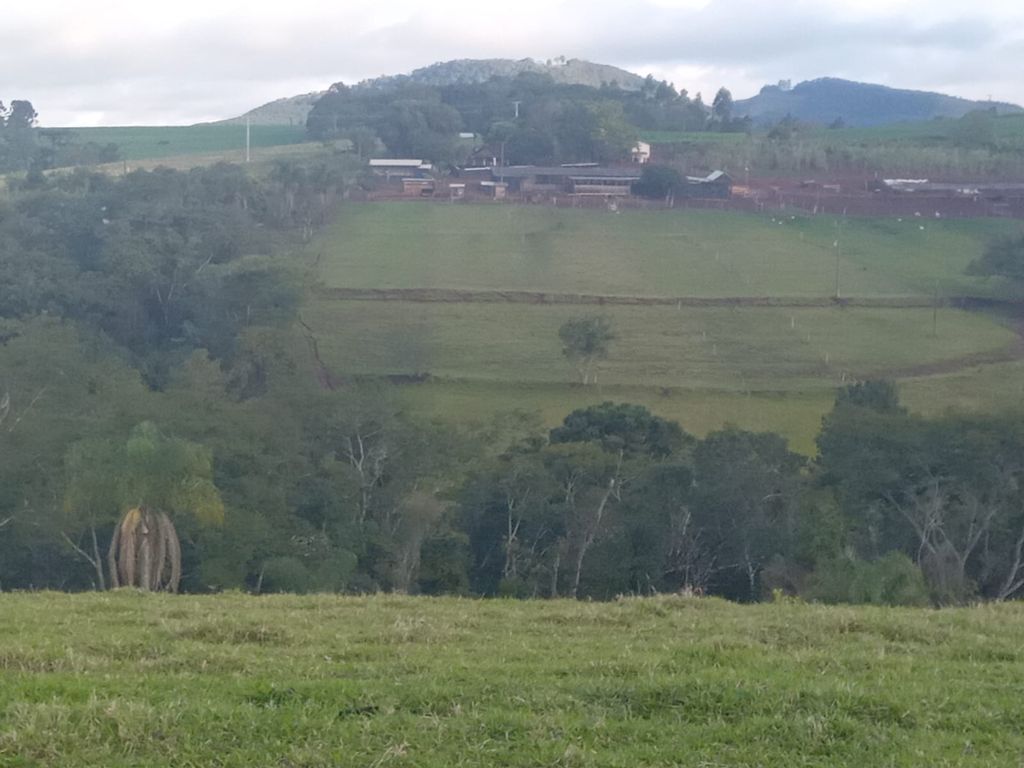 Vende-se Sítio na Zona Rural de Tamarana ? Oportunidade Única