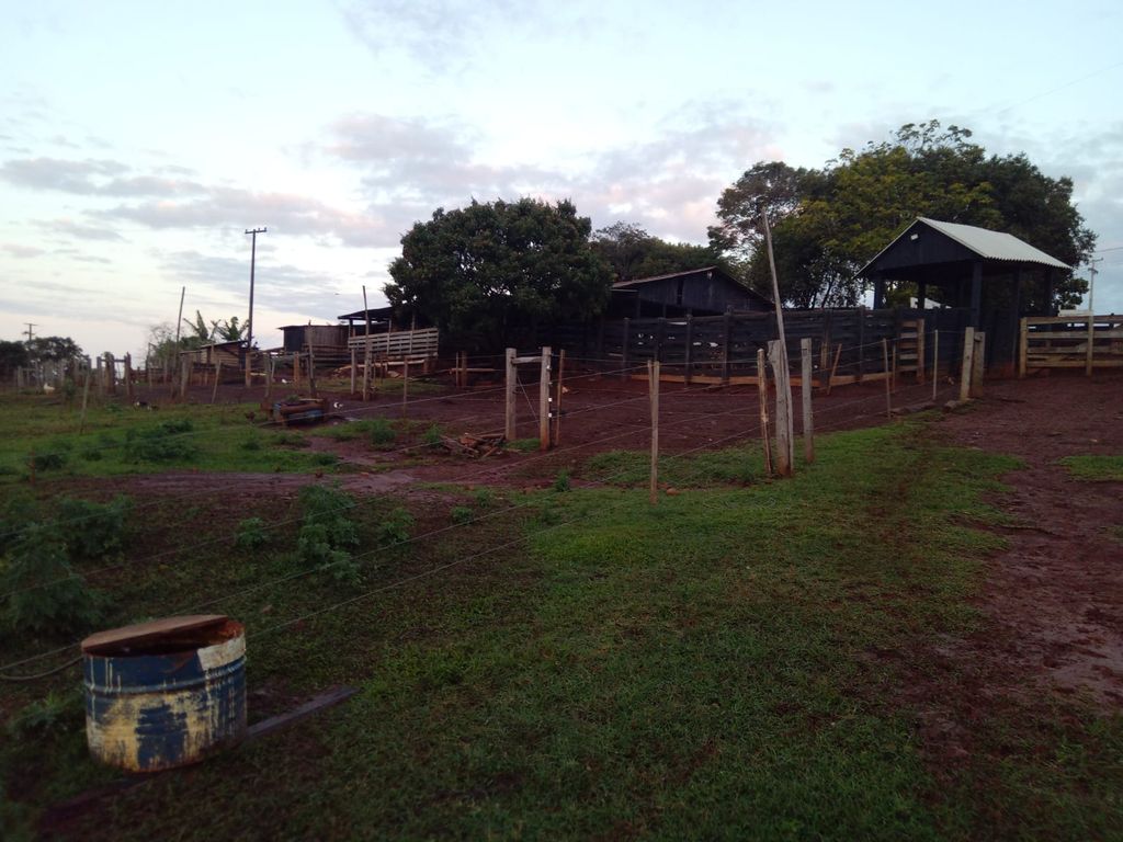 Vende-se Sítio na Zona Rural de Tamarana ? Oportunidade Única