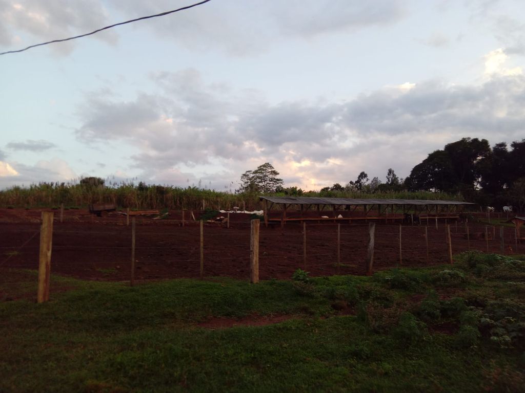 Vende-se Sítio na Zona Rural de Tamarana ? Oportunidade Única