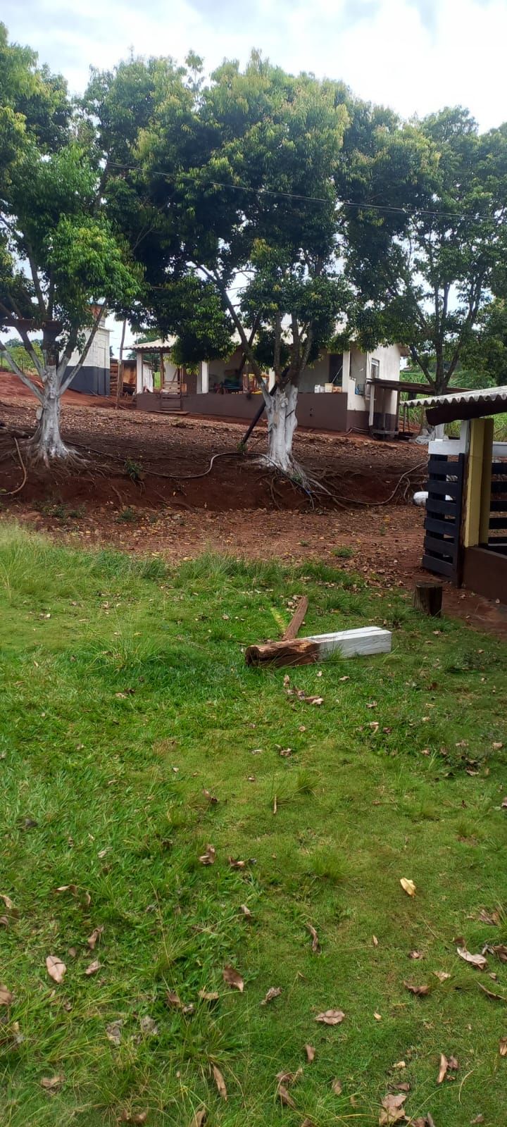 Vende-se Sítio na Zona Rural de Tamarana ? Oportunidade Única