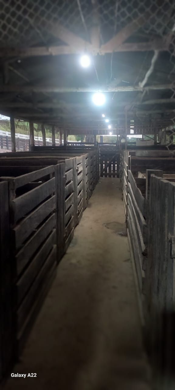 Vende-se Sítio na Zona Rural de Tamarana ? Oportunidade Única