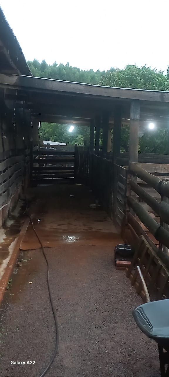 Vende-se Sítio na Zona Rural de Tamarana ? Oportunidade Única