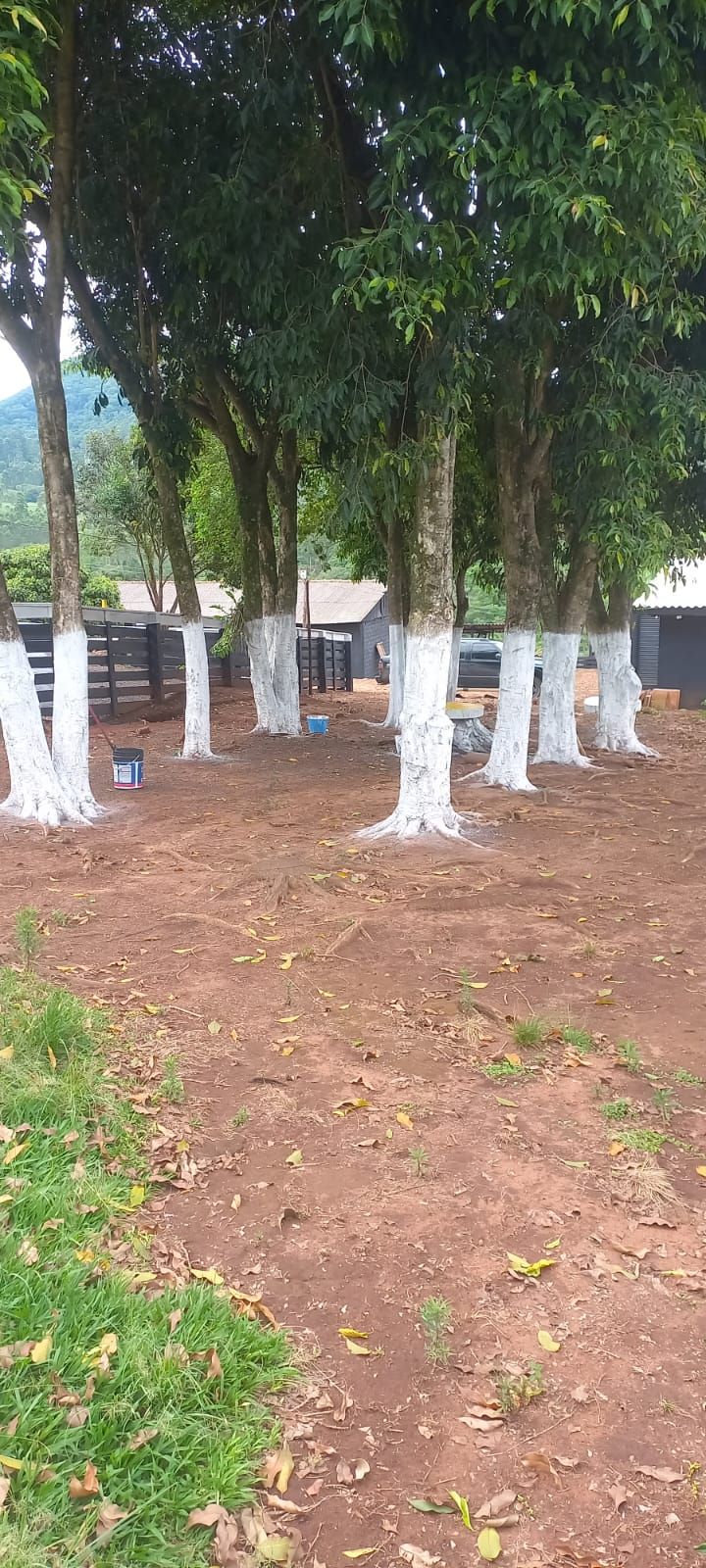 Vende-se Sítio na Zona Rural de Tamarana ? Oportunidade Única