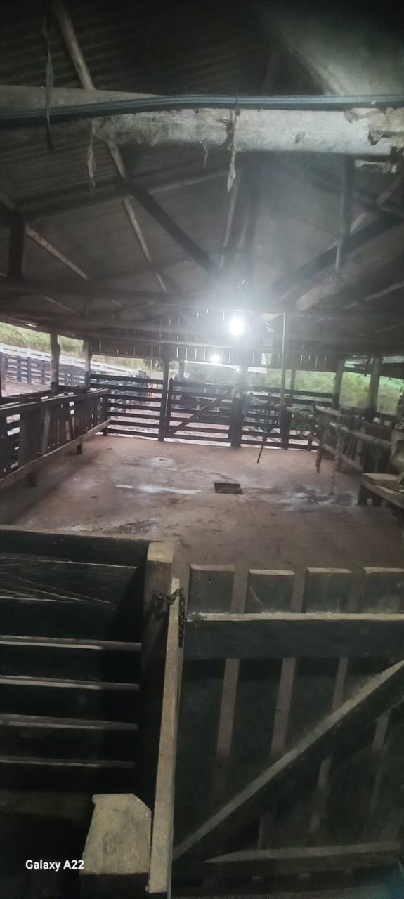 Vende-se Sítio na Zona Rural de Tamarana ? Oportunidade Única