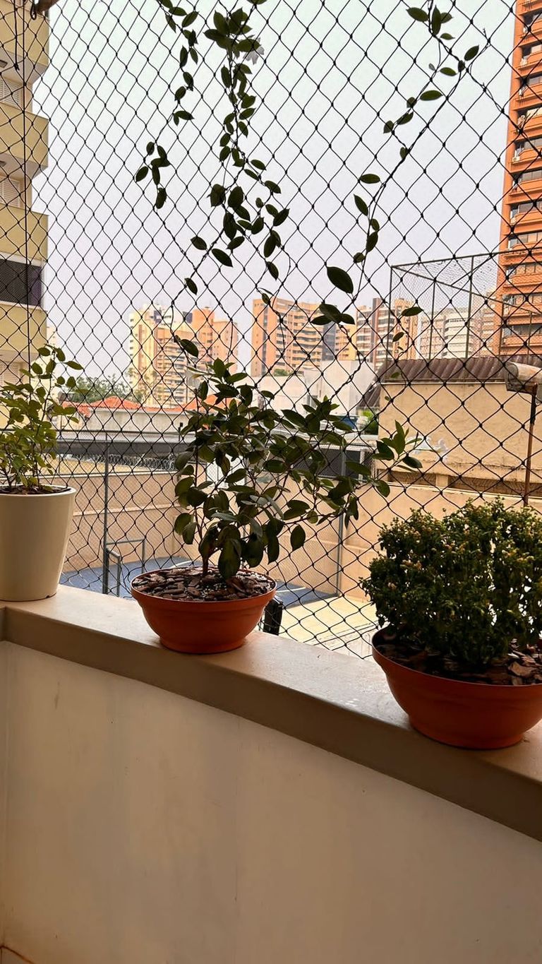 ? Apartamento à Venda ? Edifício Dom João VI