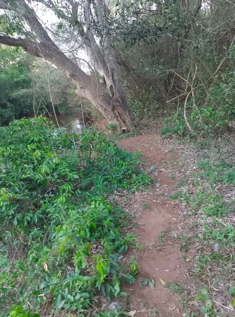 Imagens do imóveis Chácara à Venda no Condomínio Recanto do Dourado – Ibiporã/PR