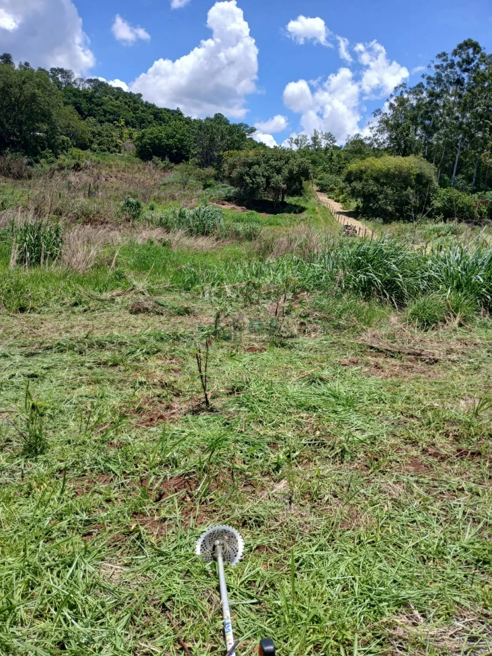 Imagens do imóveis Chacára com 22.916 m² toda cercada no Município de Maravilha