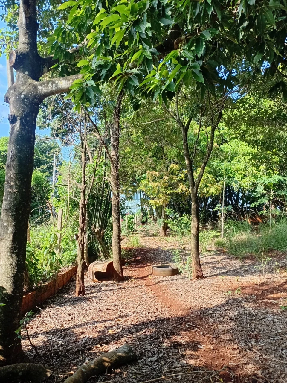 Imagens do imóveis Chácara à venda – Vila Rural Taquara do Reino