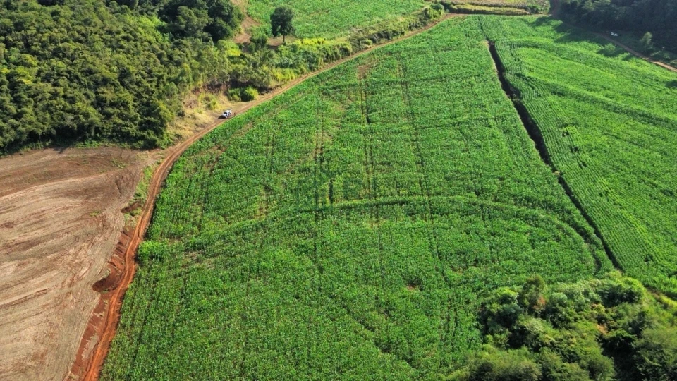 Imagens do imóveis SÍTIO À VENDA – OPORTUNIDADE EM BORRAZÓPOLIS/PR