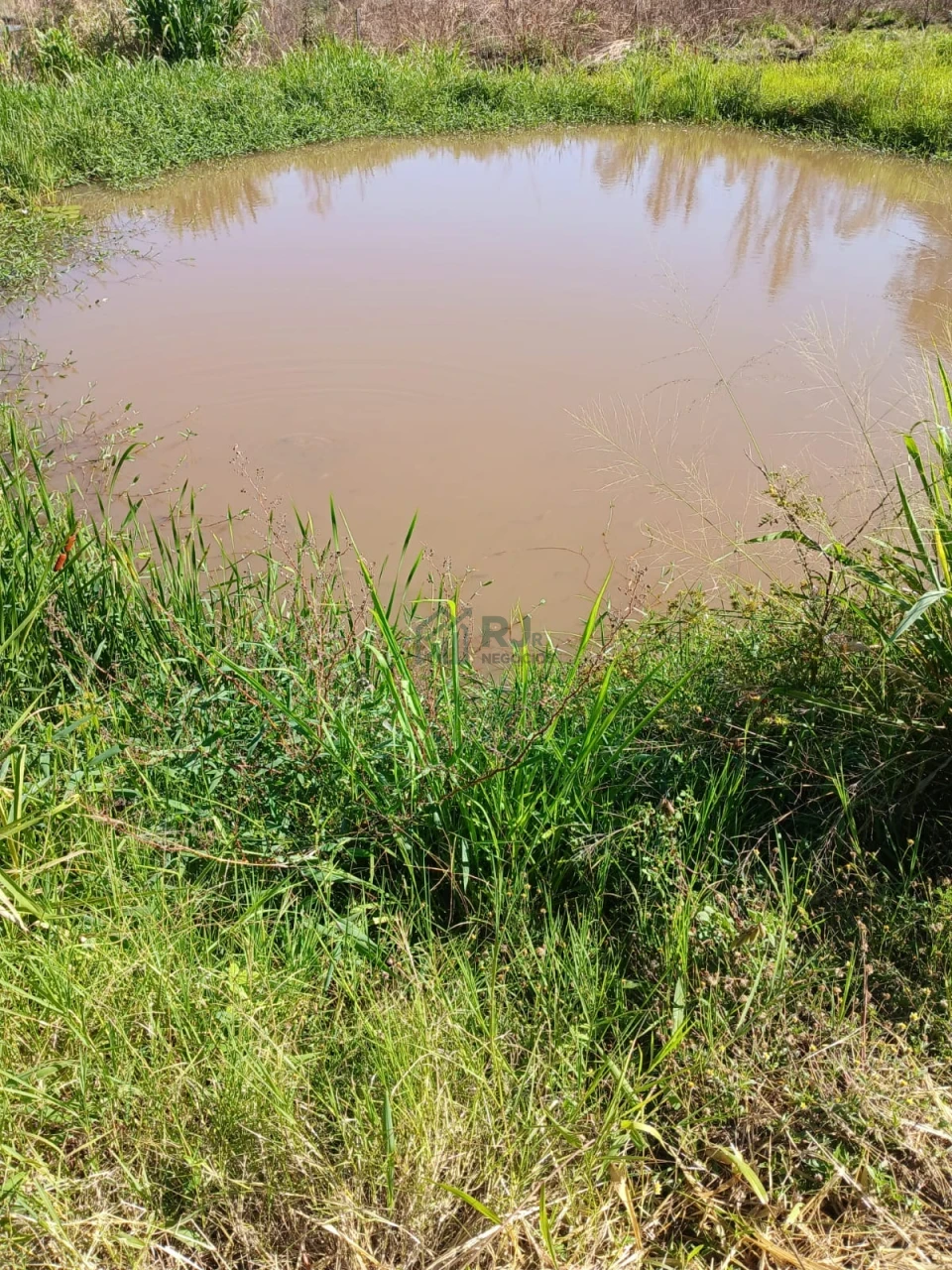 Imagens do imóveis Chacára com 22.916 m² toda cercada no Município de Maravilha