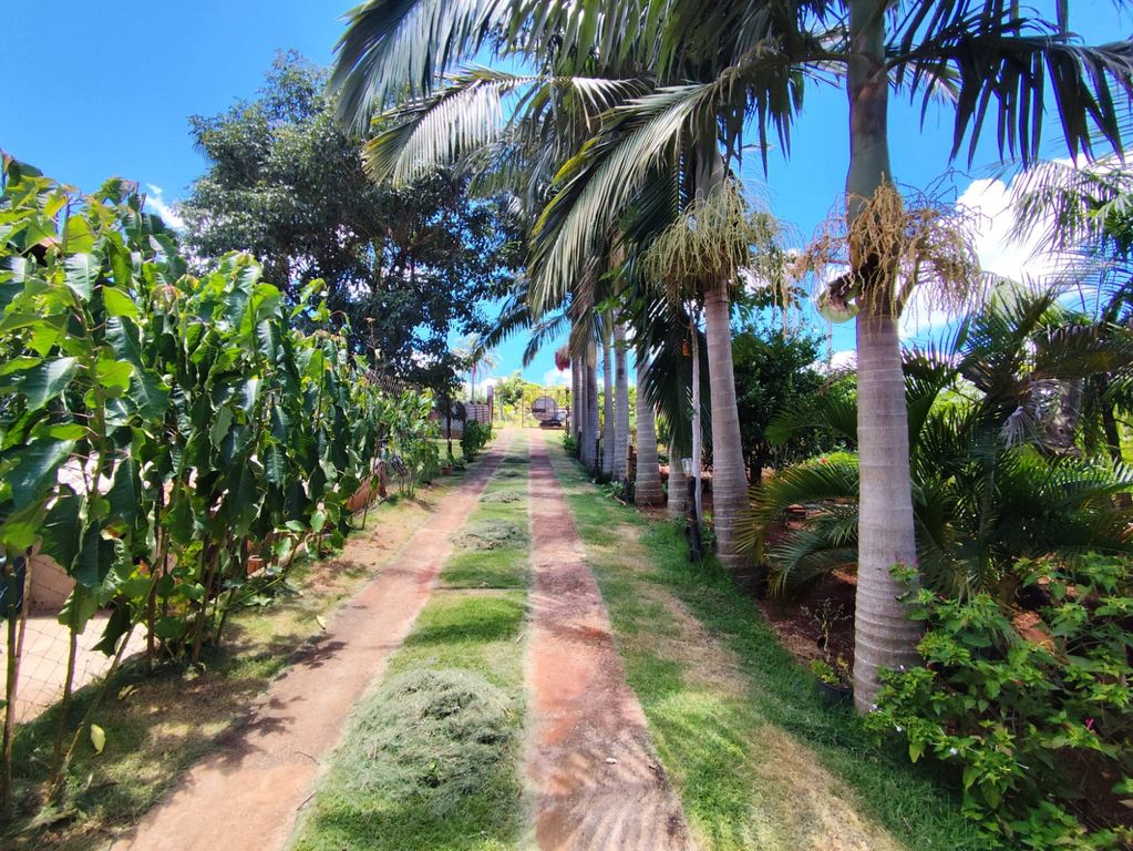 CHÁCARA À VENDA ? RECANTO AKIKINOISMORA