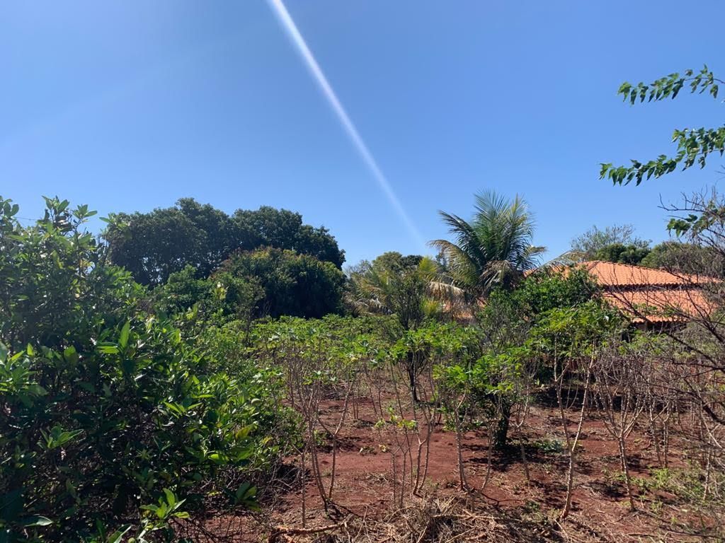 Chácara à Venda ? Região do Rio Paranapanema (Alvorada do Sul)