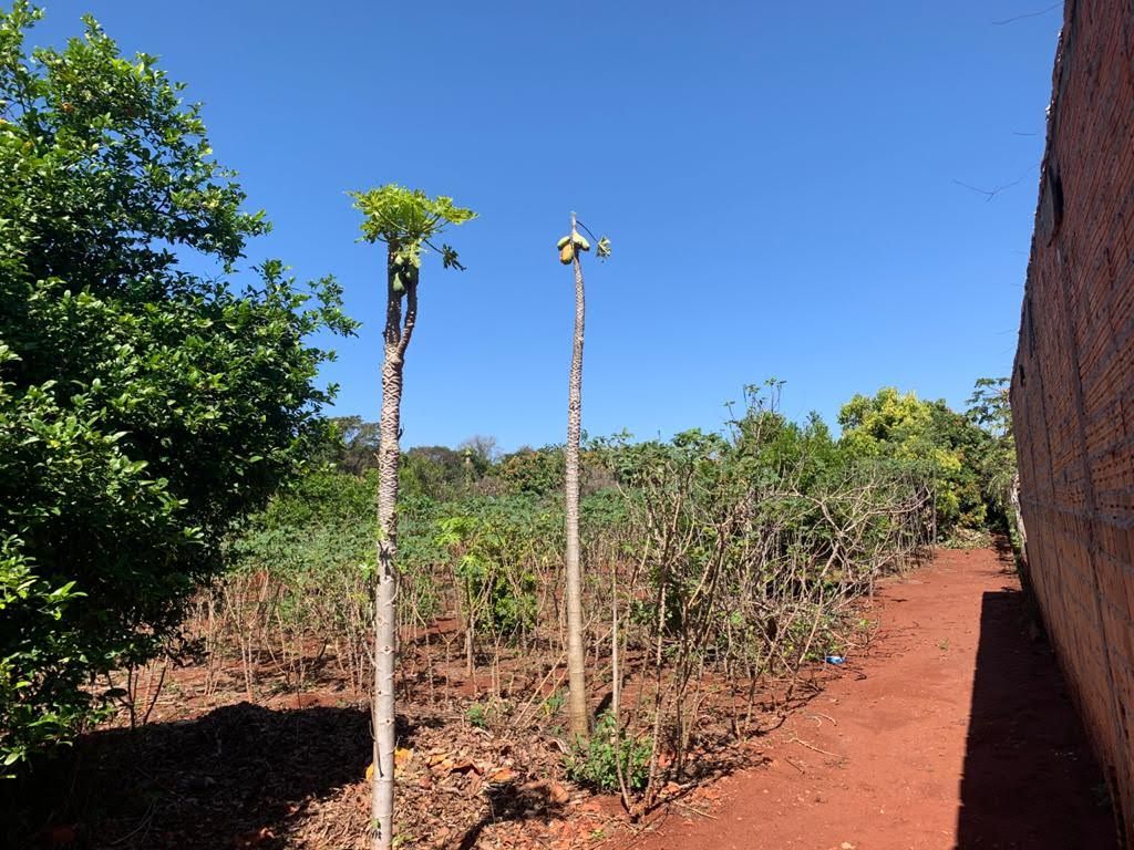 Chácara à Venda ? Região do Rio Paranapanema (Alvorada do Sul)