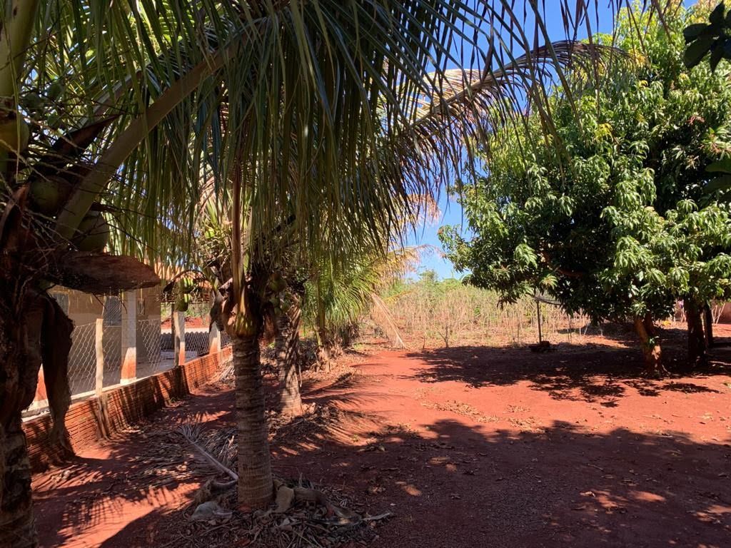 Chácara à Venda ? Região do Rio Paranapanema (Alvorada do Sul)