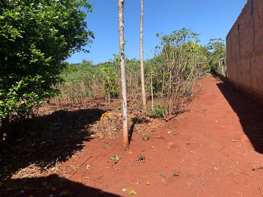 Chácara à Venda ? Região do Rio Paranapanema (Alvorada do Sul)