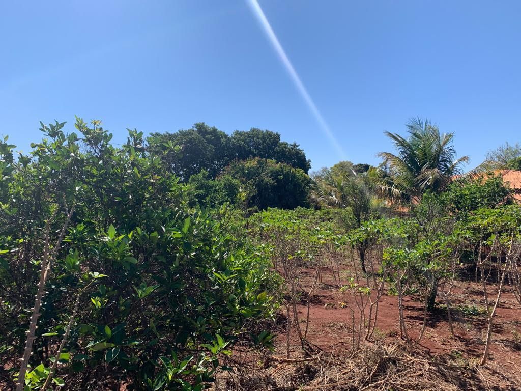 Chácara à Venda ? Região do Rio Paranapanema (Alvorada do Sul)