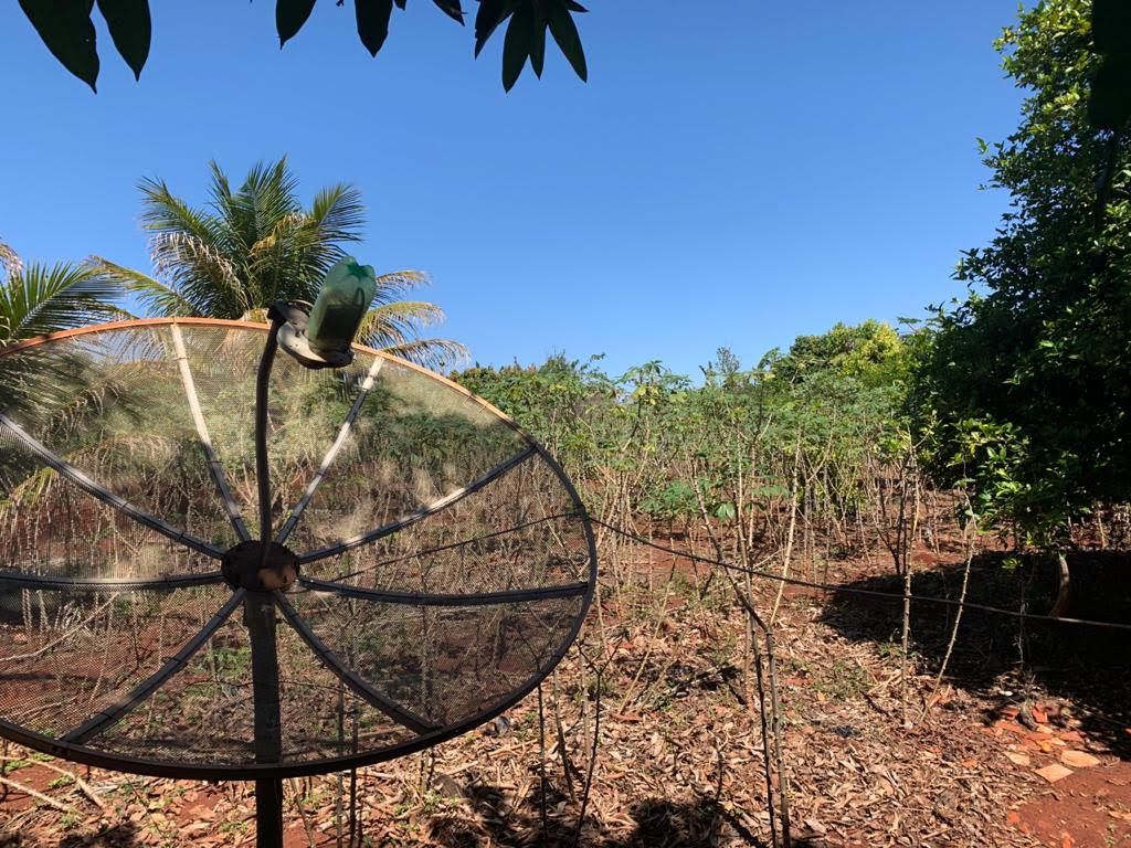 Chácara à Venda ? Região do Rio Paranapanema (Alvorada do Sul)