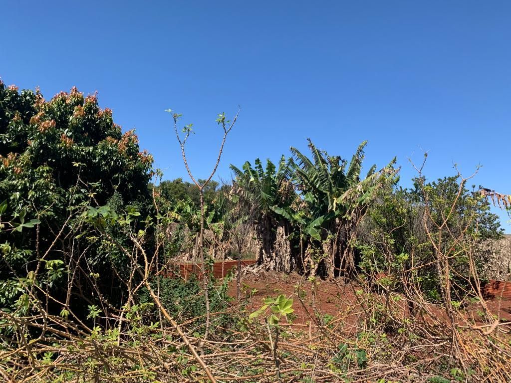 Chácara à Venda ? Região do Rio Paranapanema (Alvorada do Sul)