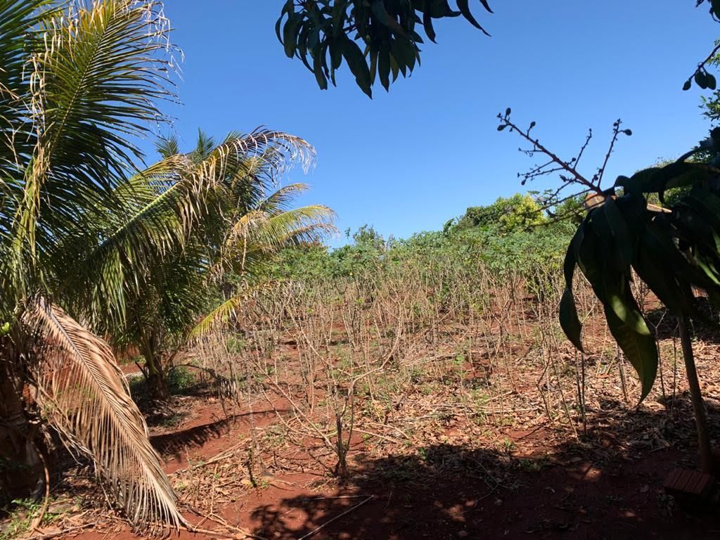 Chácara à Venda ? Região do Rio Paranapanema (Alvorada do Sul)