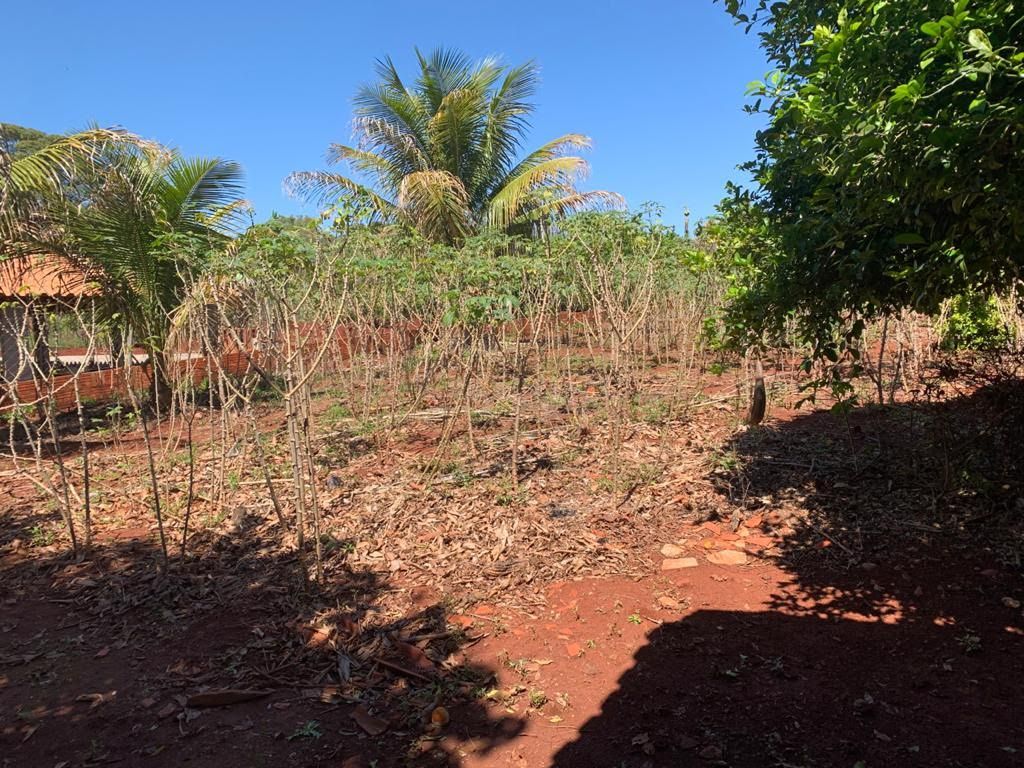 Chácara à Venda ? Região do Rio Paranapanema (Alvorada do Sul)