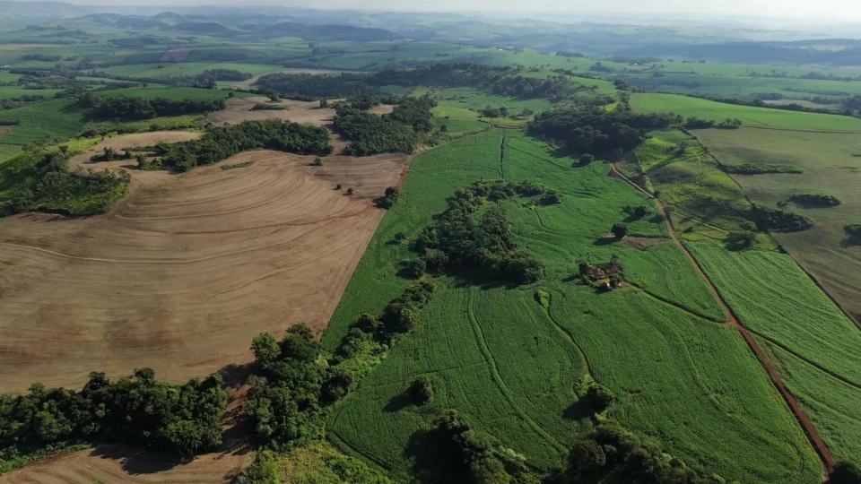 Imagens do imóveis SÍTIO À VENDA – OPORTUNIDADE EM BORRAZÓPOLIS/PR