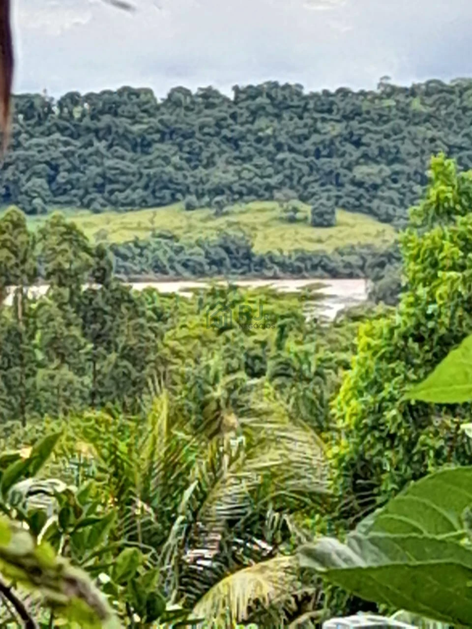 Imagens do imóveis Chácara à Venda no Condomínio Recanto do Dourado – Ibiporã/PR