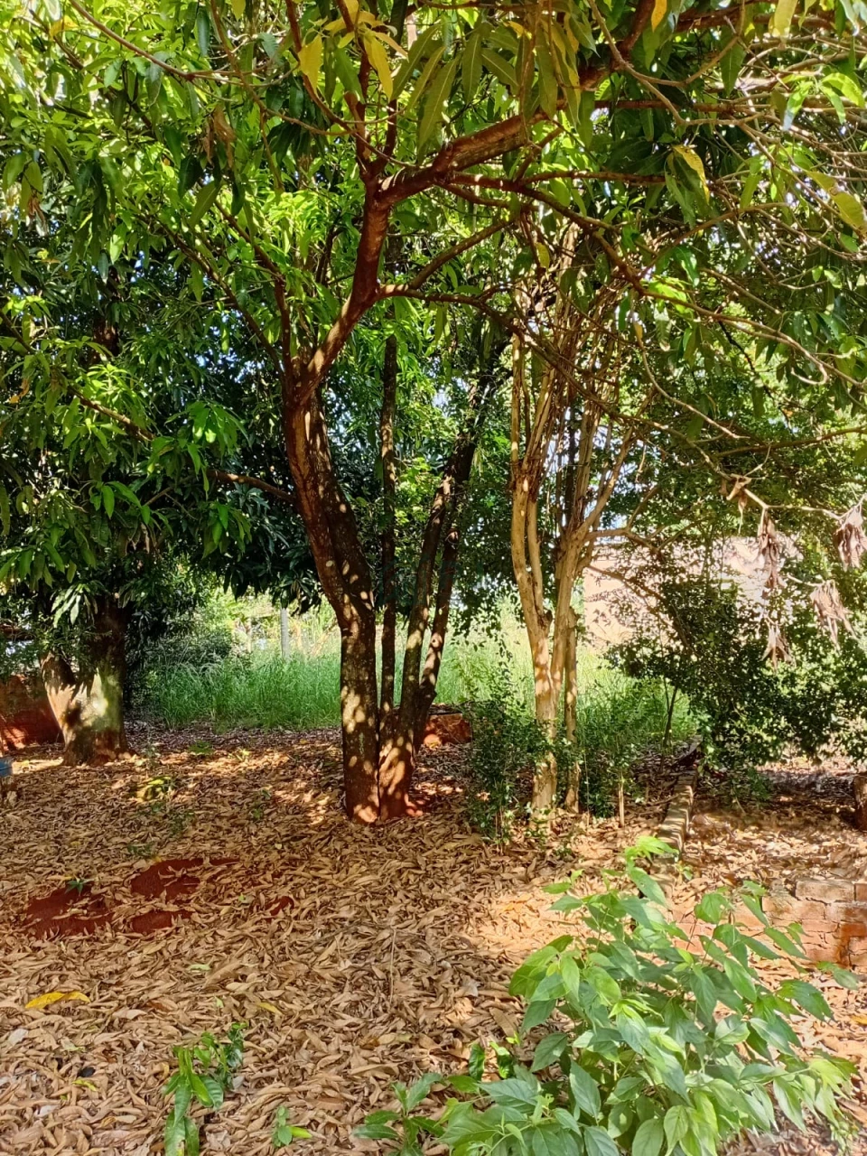 Imagens do imóveis Chácara à venda – Vila Rural Taquara do Reino