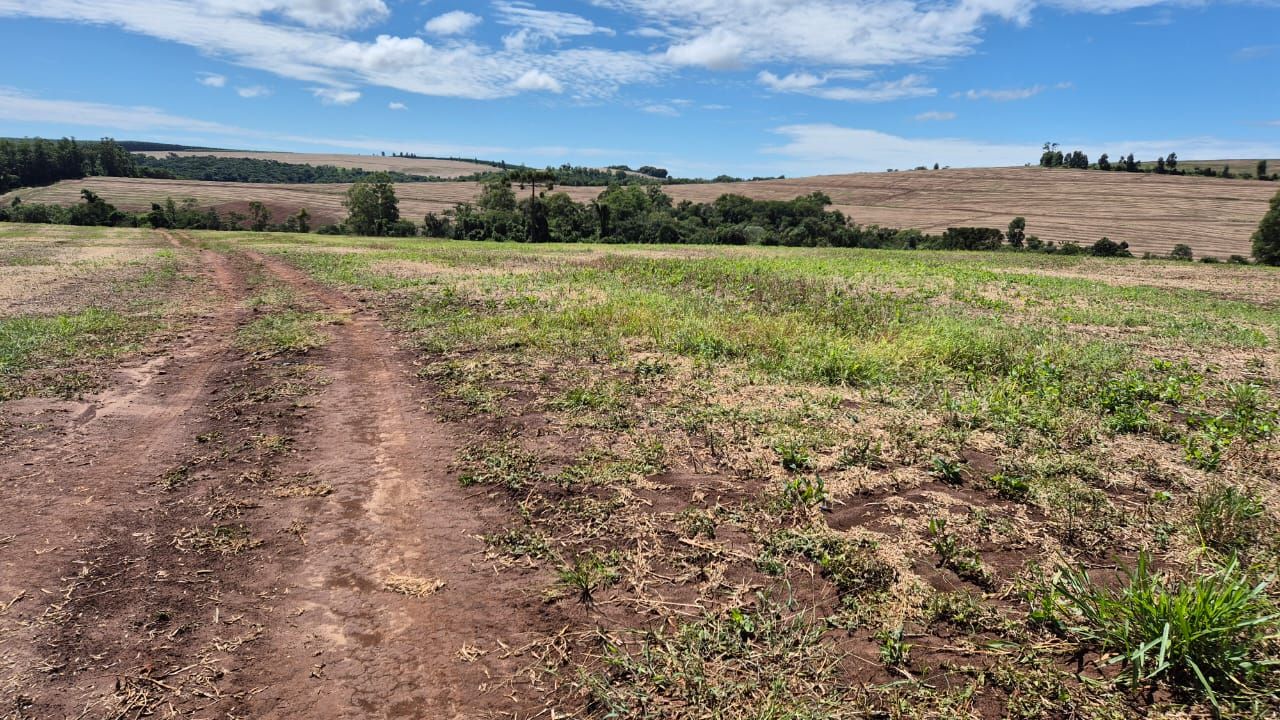 FAZENDA À VENDA | SÃO JERÔNIMO DA SERRA/PR