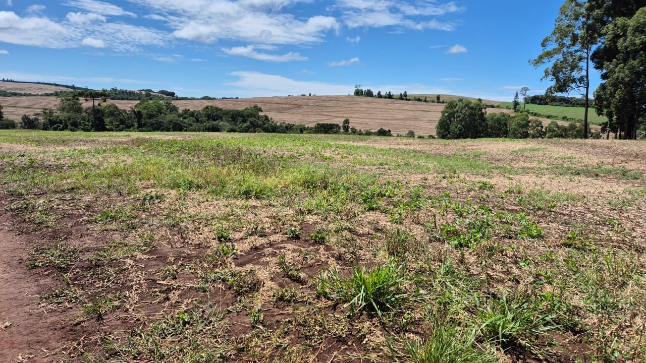 FAZENDA À VENDA | SÃO JERÔNIMO DA SERRA/PR