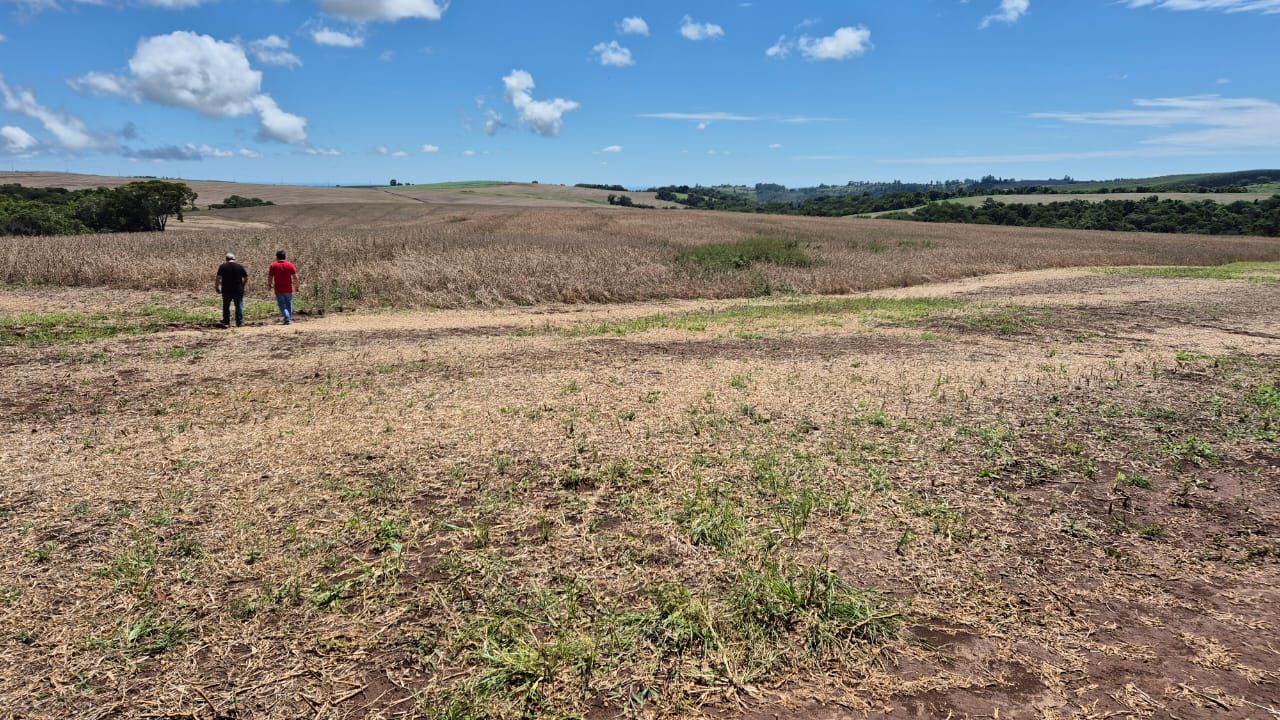 FAZENDA À VENDA | SÃO JERÔNIMO DA SERRA/PR