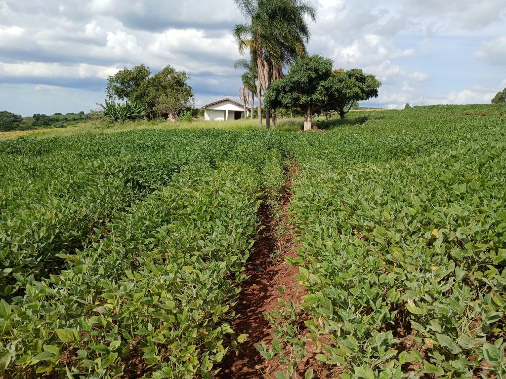 FAZENDA À VENDA | SÃO JERÔNIMO DA SERRA/PR