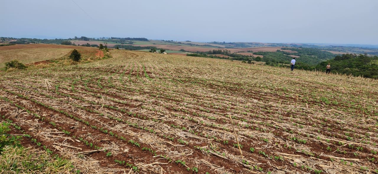 FAZENDA À VENDA | SÃO JERÔNIMO DA SERRA/PR