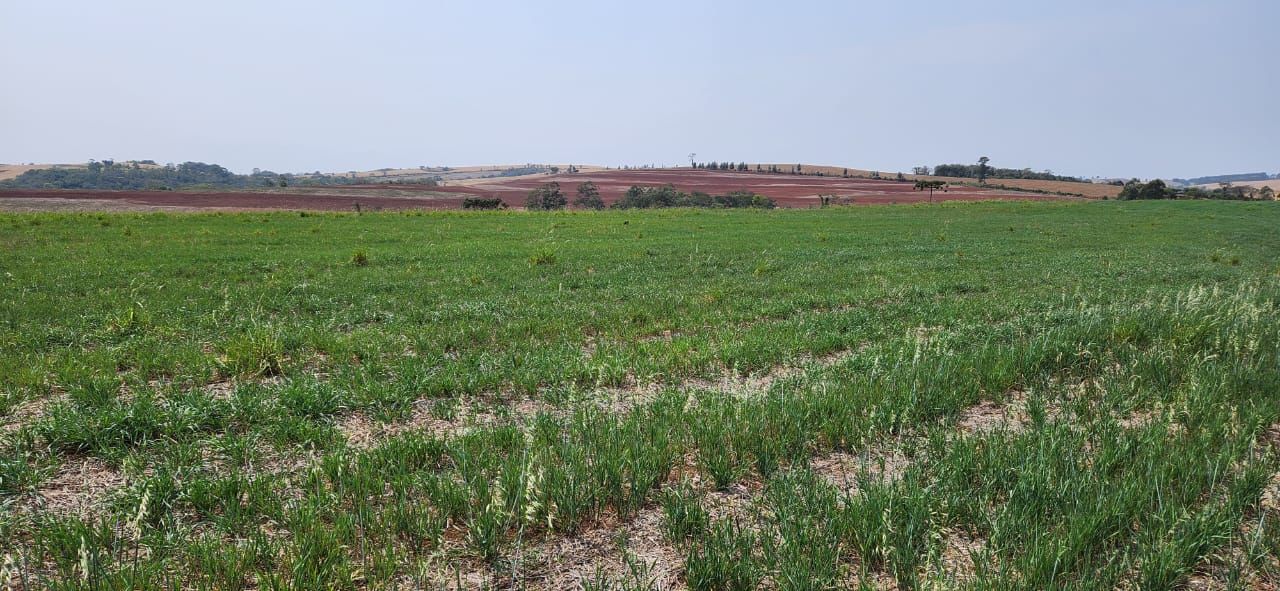 FAZENDA À VENDA | SÃO JERÔNIMO DA SERRA/PR