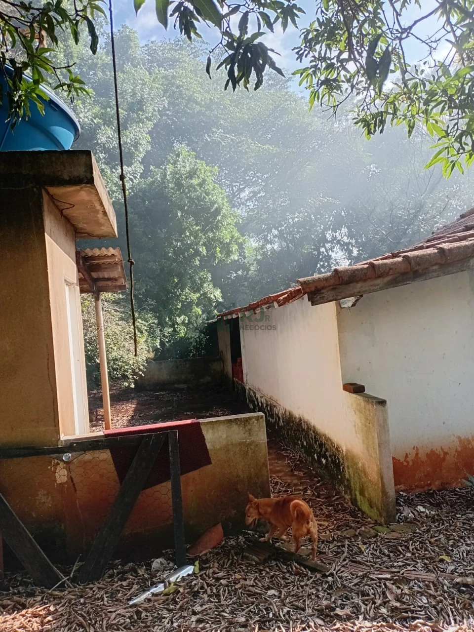 Imagens do imóveis Chácara à venda – Vila Rural Taquara do Reino