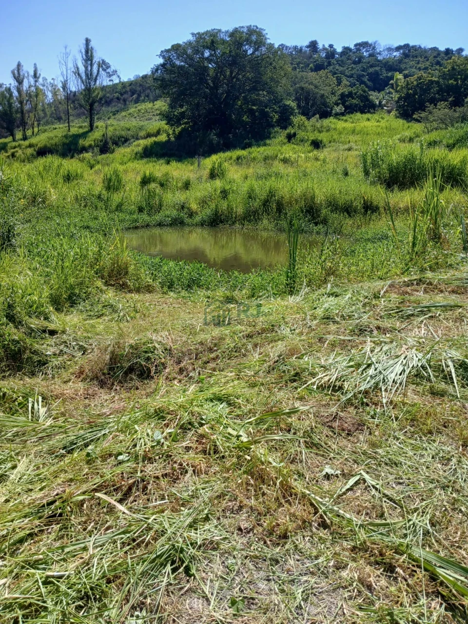 Imagens do imóveis Chacára com 22.916 m² toda cercada no Município de Maravilha