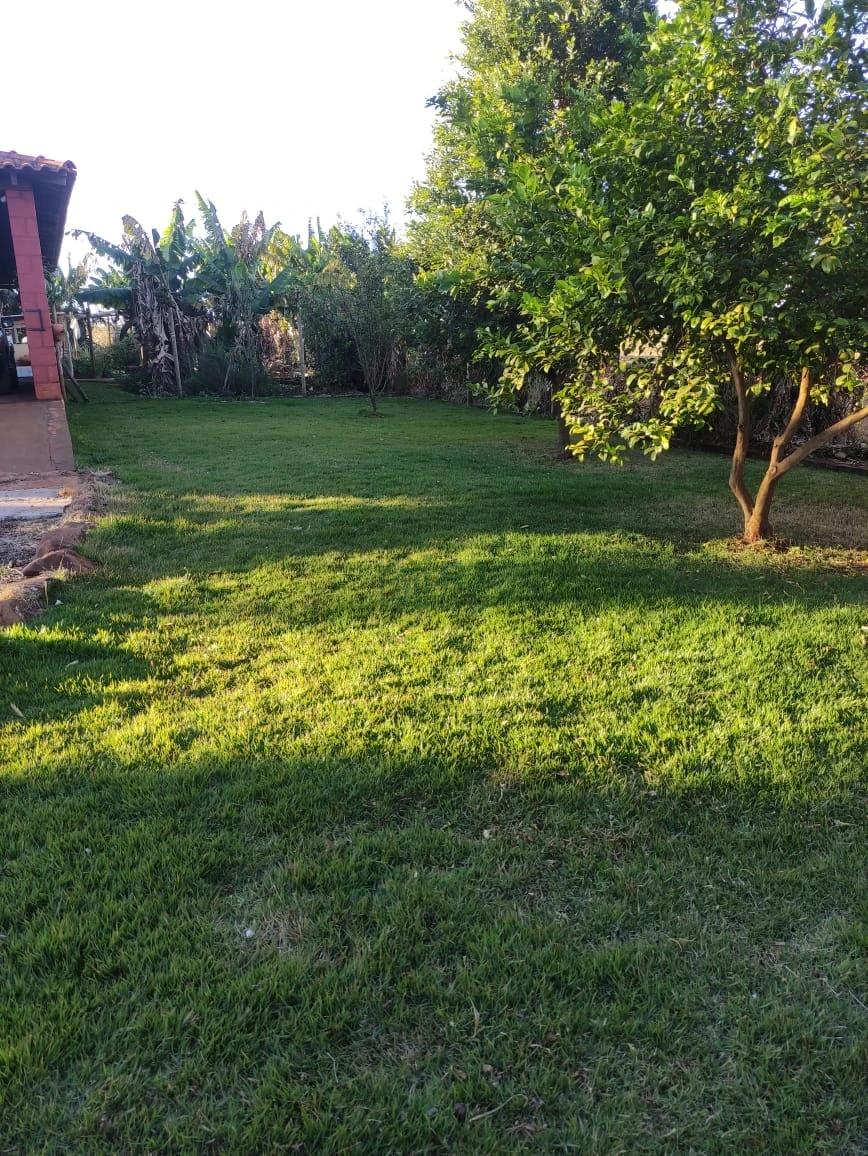 Imagens do imóveis Chácara à venda no Balneário Edelmo – Alvorada do Sul