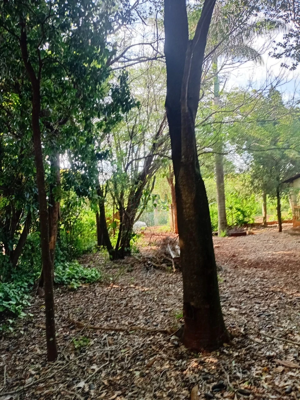 Imagens do imóveis Chácara à venda – Vila Rural Taquara do Reino