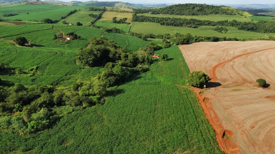 Imagens do imóveis SÍTIO À VENDA – OPORTUNIDADE EM BORRAZÓPOLIS/PR