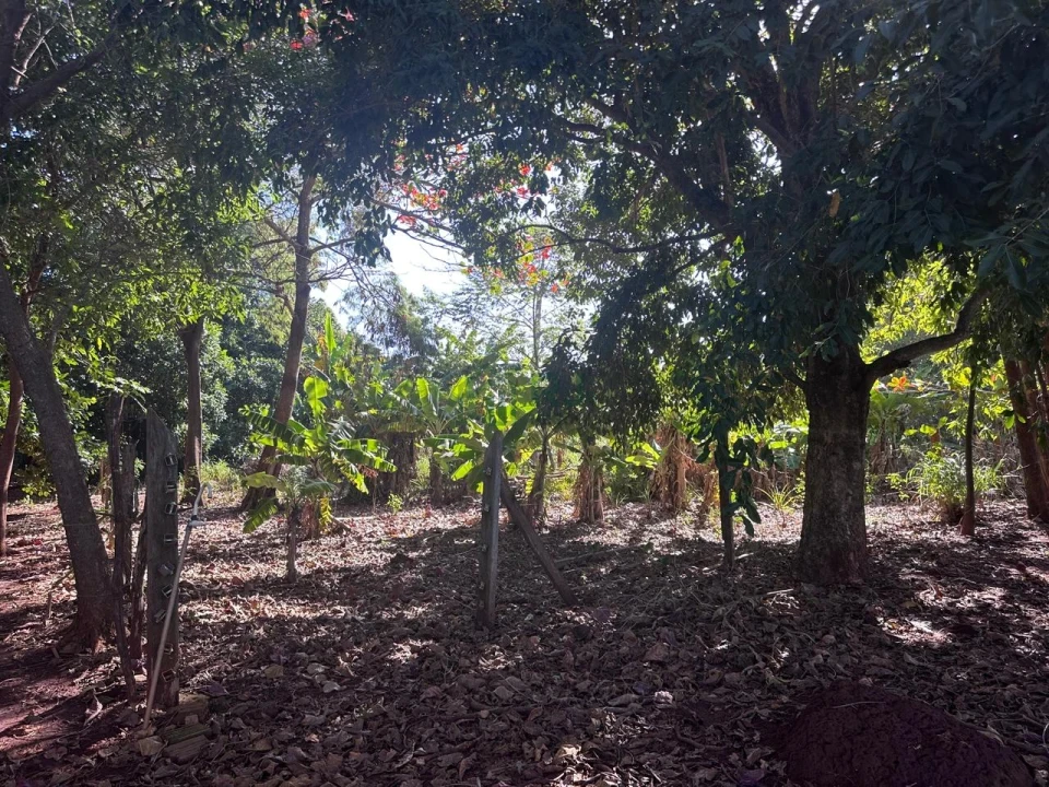 Imagens do imóveis Chácara à Venda em Sertanópolis – Espaço, Conforto e Tranquilidade