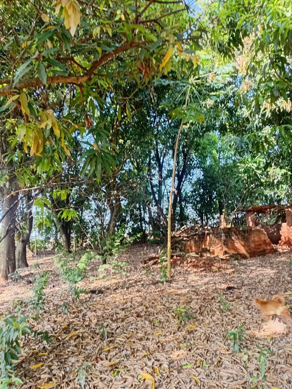 Imagens do imóveis Chácara à venda – Vila Rural Taquara do Reino