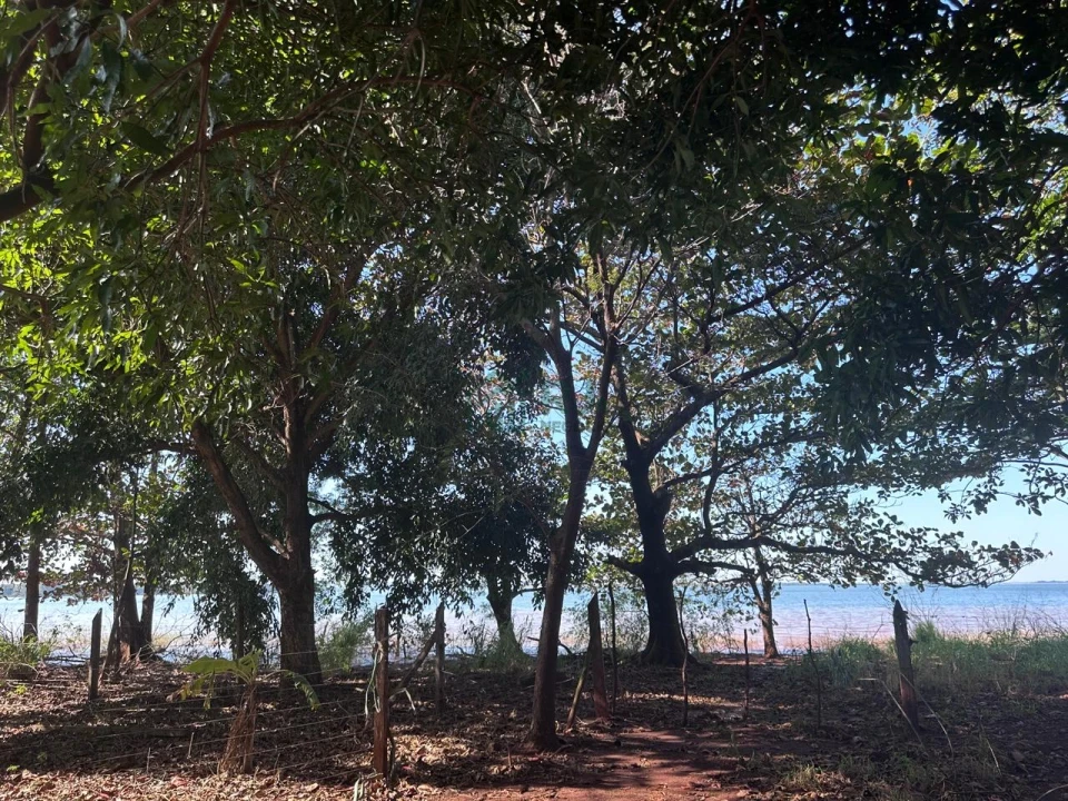 Imagens do imóveis Chácara à Venda em Sertanópolis – Espaço, Conforto e Tranquilidade