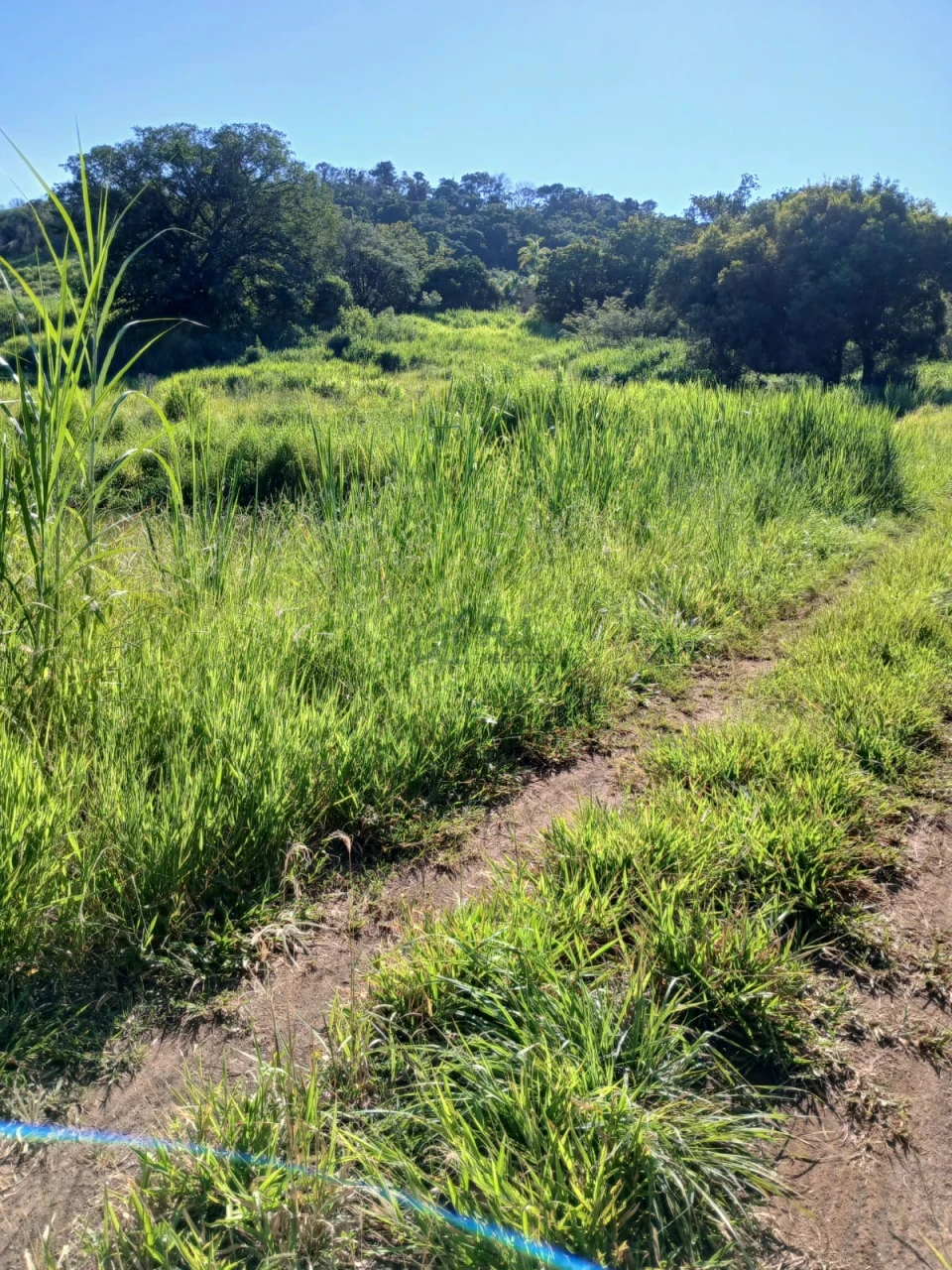 Imagens do imóveis Chacára com 22.916 m² toda cercada no Município de Maravilha