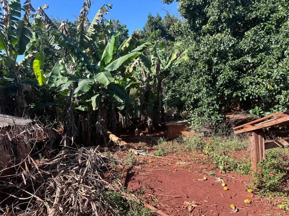 Imagens do imóveis Chácara à Venda em Sertanópolis – Espaço, Conforto e Tranquilidade