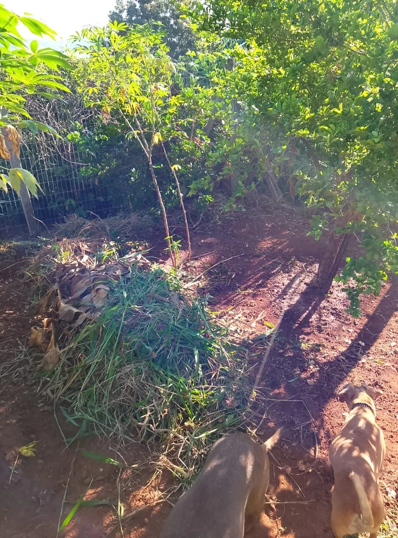 Imagens do imóveis Chácara à Venda no Condomínio Recanto do Dourado – Ibiporã/PR