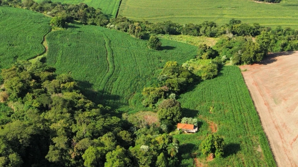 Imagens do imóveis SÍTIO À VENDA – OPORTUNIDADE EM BORRAZÓPOLIS/PR