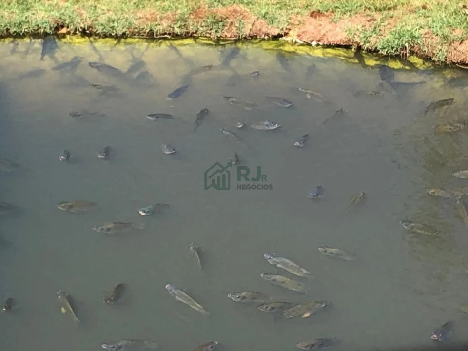 Chácara à Venda - Água dos Periquitos, Londrina/PR