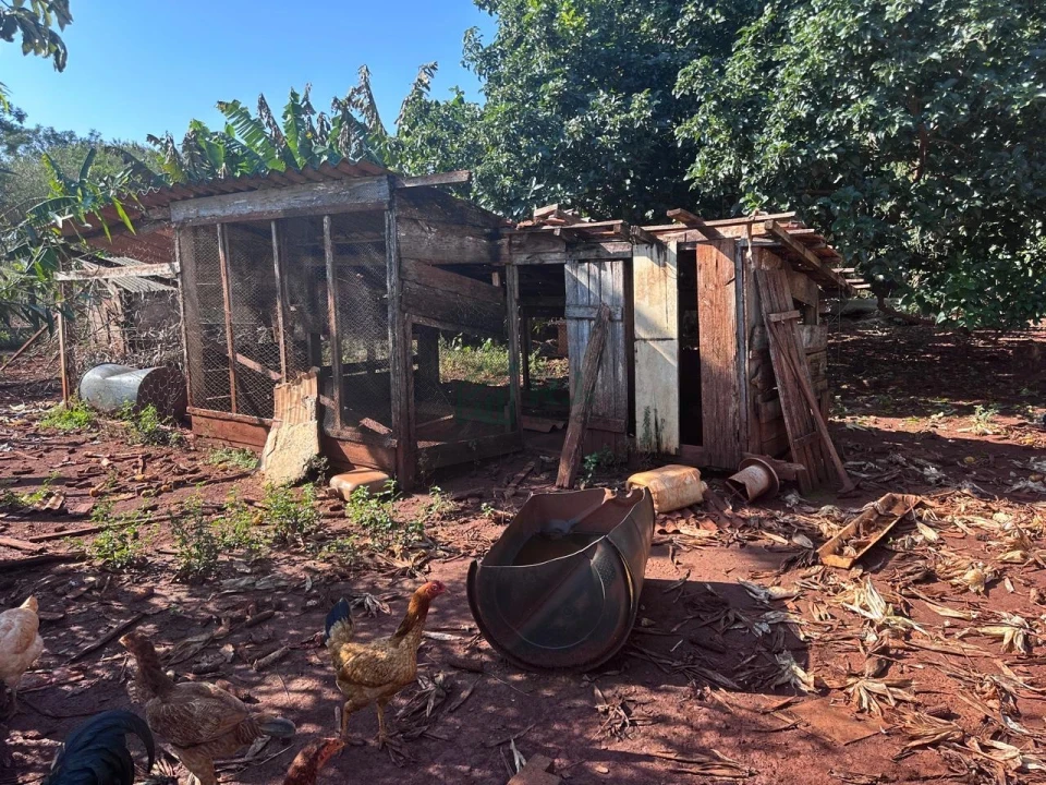 Imagens do imóveis Chácara à Venda em Sertanópolis – Espaço, Conforto e Tranquilidade